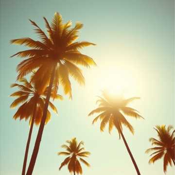 Sunshine Strut